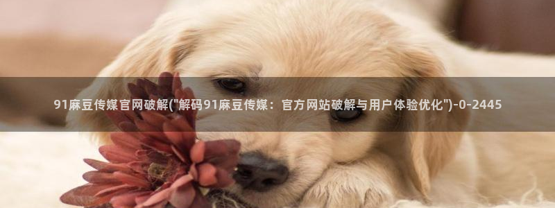 麻豆传媒md官网：91麻豆传媒官网破解(\
