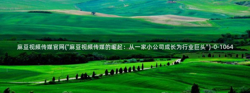 mdpud麻豆传媒官网首页：麻豆视频传媒官网(\