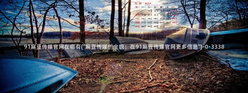 麻豆啊传媒官网：91麻豆传媒官网在哪有(\