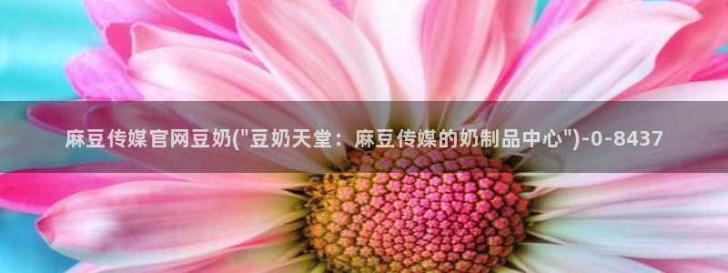 麻豆 传媒 官网：麻豆传媒官网豆奶(\