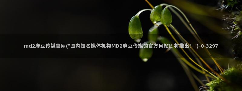 麻豆传媒官网免费：md2麻豆传媒官网(\