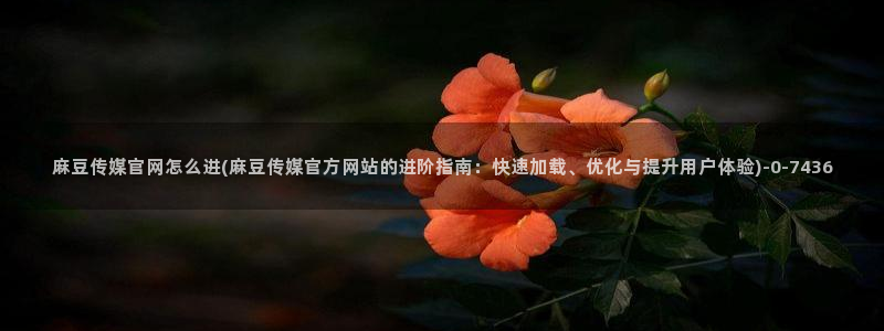 mdapp麻豆传媒官网app：麻豆传媒官网怎么进(麻豆传媒官方网站的进阶指南：快速加载、优化与提升用户体验)