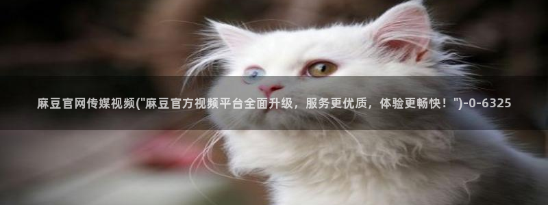 md 麻豆传媒官网：麻豆官网传媒视频(\