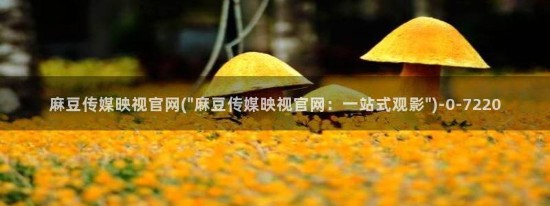 麻豆传媒官网最新视频：麻豆传媒映视官网(\