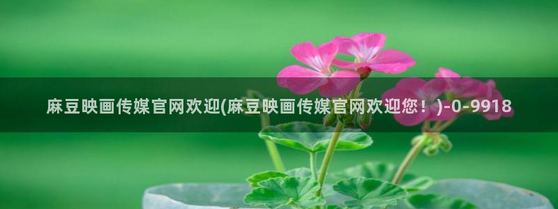 麻豆传媒官网2997577Z空间：麻豆映画传媒官网欢迎(麻豆映画传媒官网欢迎您！)