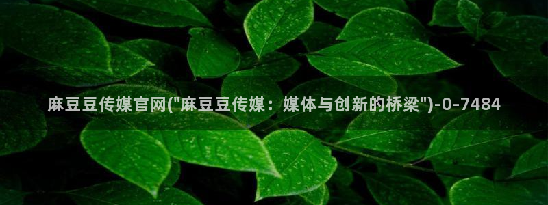 麻豆传媒映化官网：麻豆豆传媒官网(\