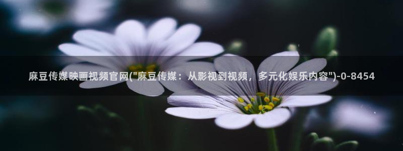 麻豆传媒app官网版ios：麻豆传媒映画视频官网(\