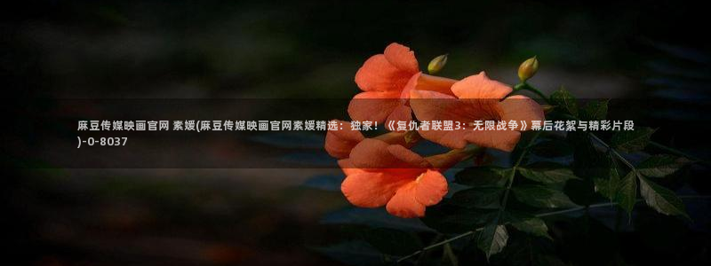 麻豆传媒官网播放：麻豆传媒映画官网 素媛(麻豆传媒映画官网素媛精选：独家！《复仇者联盟3：无限战争》幕后花絮与精彩片段)