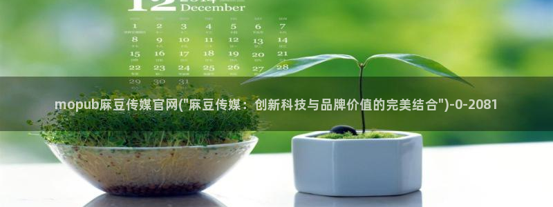 9麻豆传媒官网