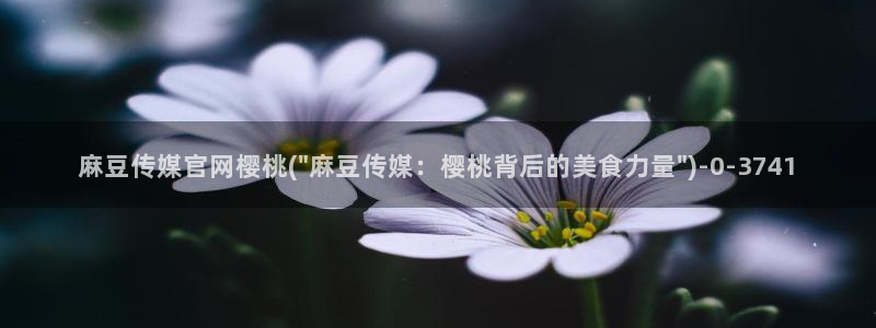 麻豆传媒媒体官网：麻豆传媒官网樱桃(\