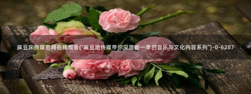 麻豆剪映传媒官网：麻豆床传媒官网在线观看(\