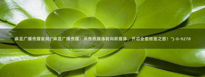 麻豆传媒官网电脑版：麻豆广播传媒官网(\