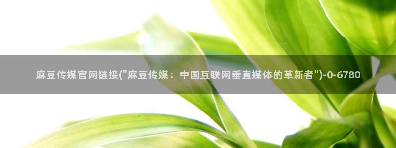 麻豆麻豆文化传媒官网：麻豆传媒官网链接(\