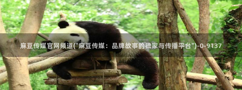麻豆传媒官网综合：麻豆传媒官网频道(\