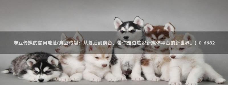 麻豆影视传媒官方官网：麻豆传媒的官网地址(麻豆传媒：从幕后到前台，带你走进这家新媒体平台的新世界。)