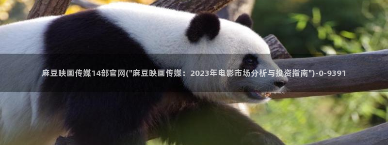麻豆传媒映话官网：麻豆映画传媒14部官网(\