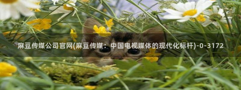 麻豆传媒福利官网：麻豆传媒公司官网(麻豆传媒：中国电视媒体的现代化标杆)