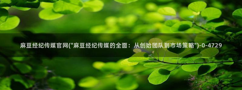 麻豆传媒播官网：麻豆经纪传媒官网(\