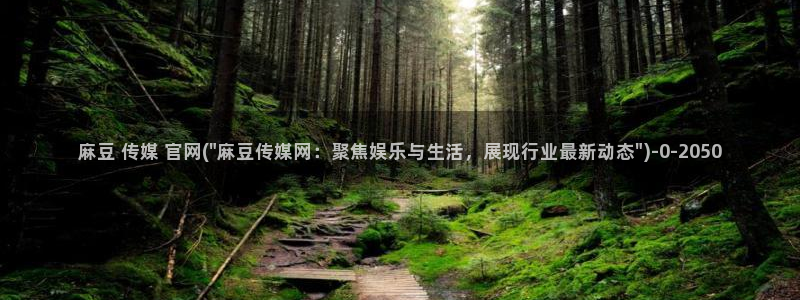 麻豆传媒官网直：麻豆 传媒 官网(\