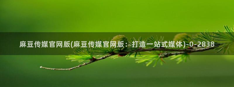 mbpub麻豆传媒官网：麻豆传媒官网版(麻豆传媒官网版：打造一站式媒体)