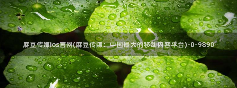 麻豆91传媒官网：麻豆传媒ios官网(麻豆传媒：中国最大的移动内容平台)