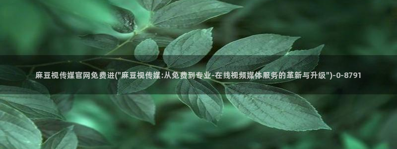 麻豆传媒官网成员：麻豆视传媒官网免费进(\