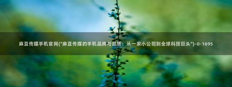 麻豆传媒官网西瓜