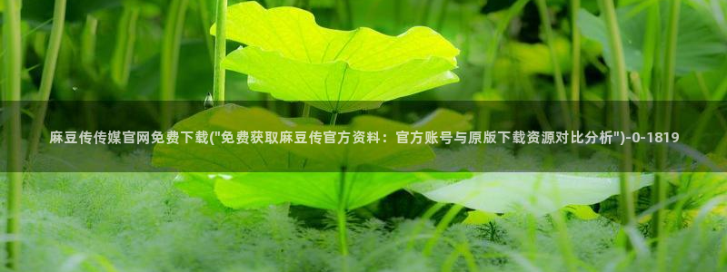 麻豆传媒官网在线观看